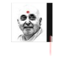 Pramukh Group