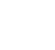 Shree Bhavani Infra