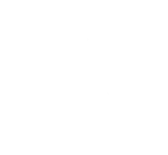 The Palace